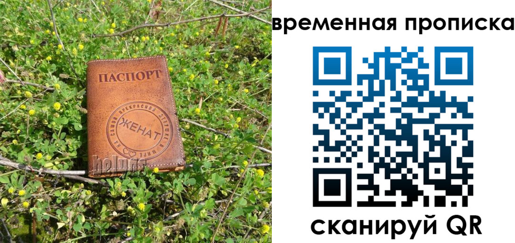 форма 3 в Знаменске